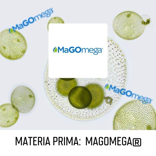 Vegan Omega 3 (MaGOmega® MAG 560mg) - 60 perlas de Fullgas - Imagen 3