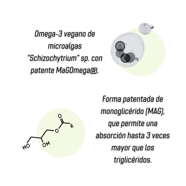 Vegan Omega 3 (MaGOmega® MAG 560mg) - 60 perlas de Fullgas - Imagen 5